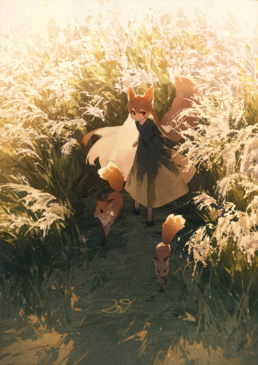 This is a pixiv picture whose title is 芒.