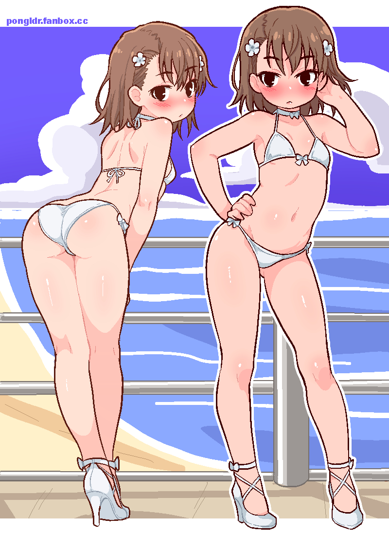 This is a pixiv picture whose title is Misaka.