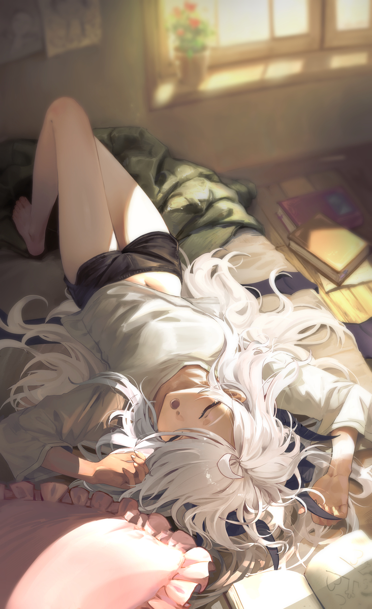 This is a pixiv picture whose title is ヒナちゃん　昼寝.