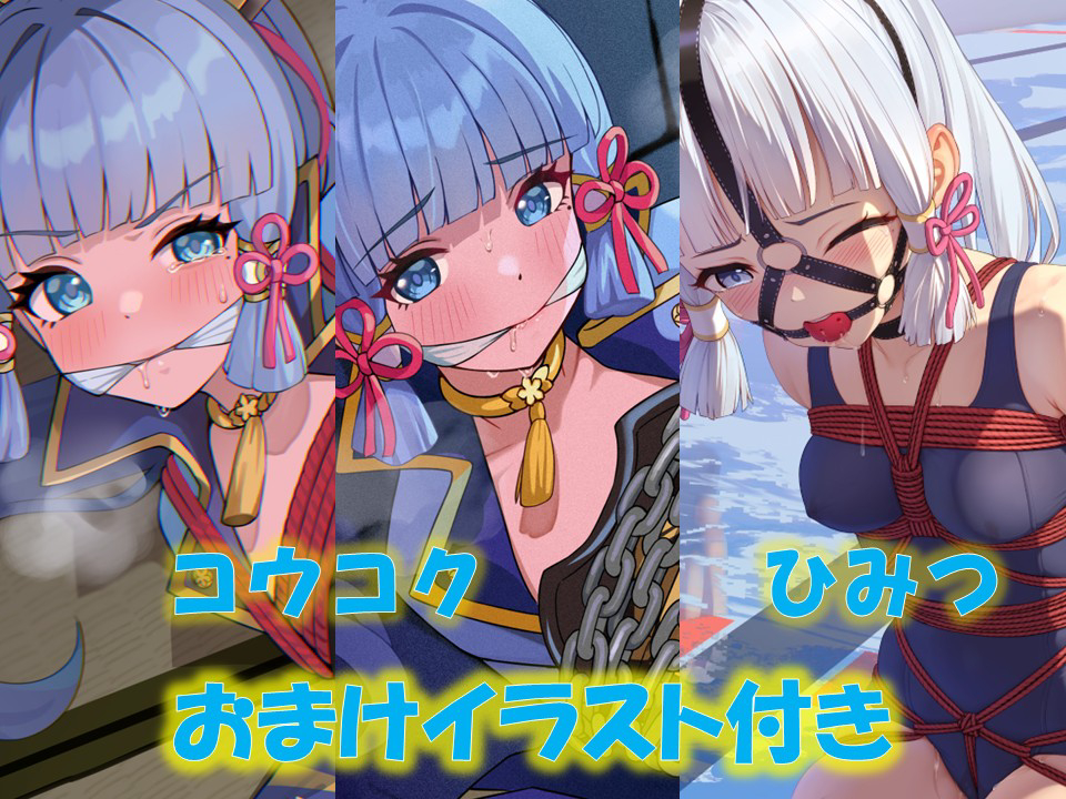 This is a pixiv picture whose title is 【販売開始】コスプレ写真集『囚われの白鷺』.