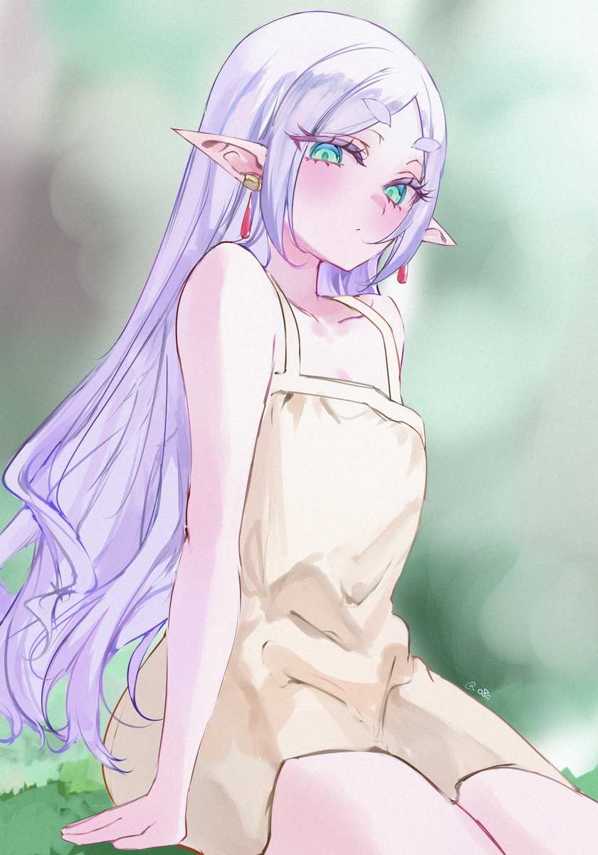 This is a pixiv picture whose title is フリーレン.