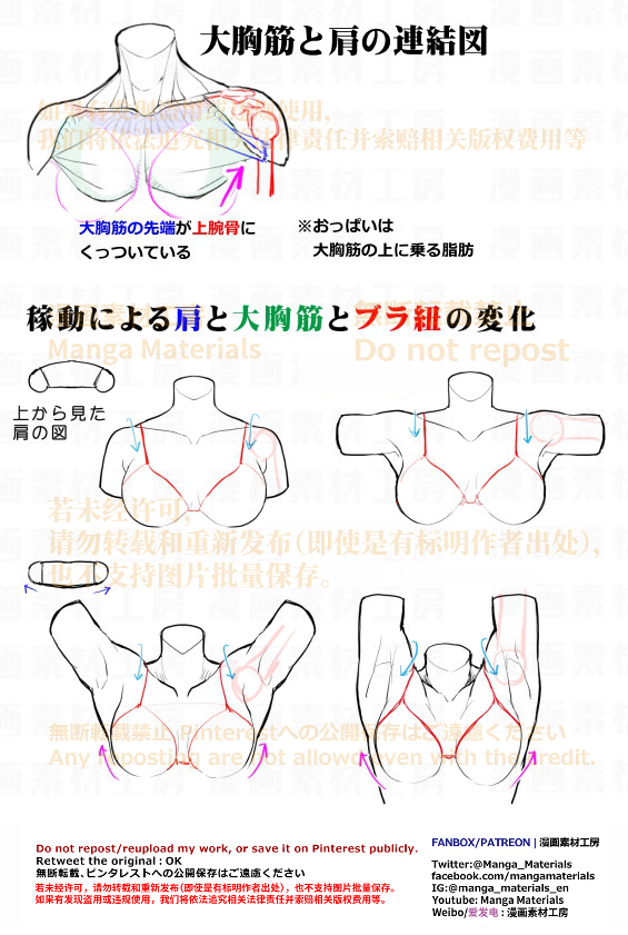 This is a pixiv picture whose title is 個人メモ：肩の可動/肩と大胸筋の変化.