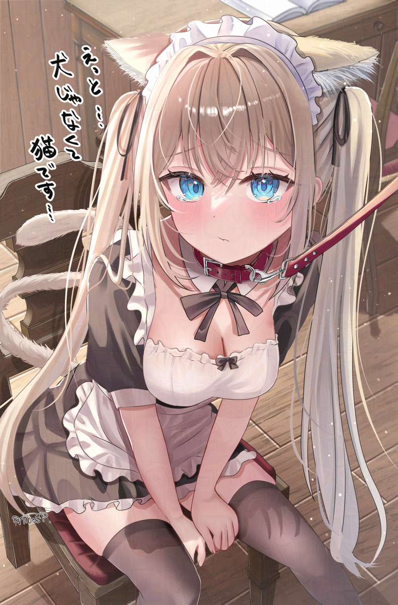 This is a pixiv picture whose title is 犬じゃなくて、猫です….