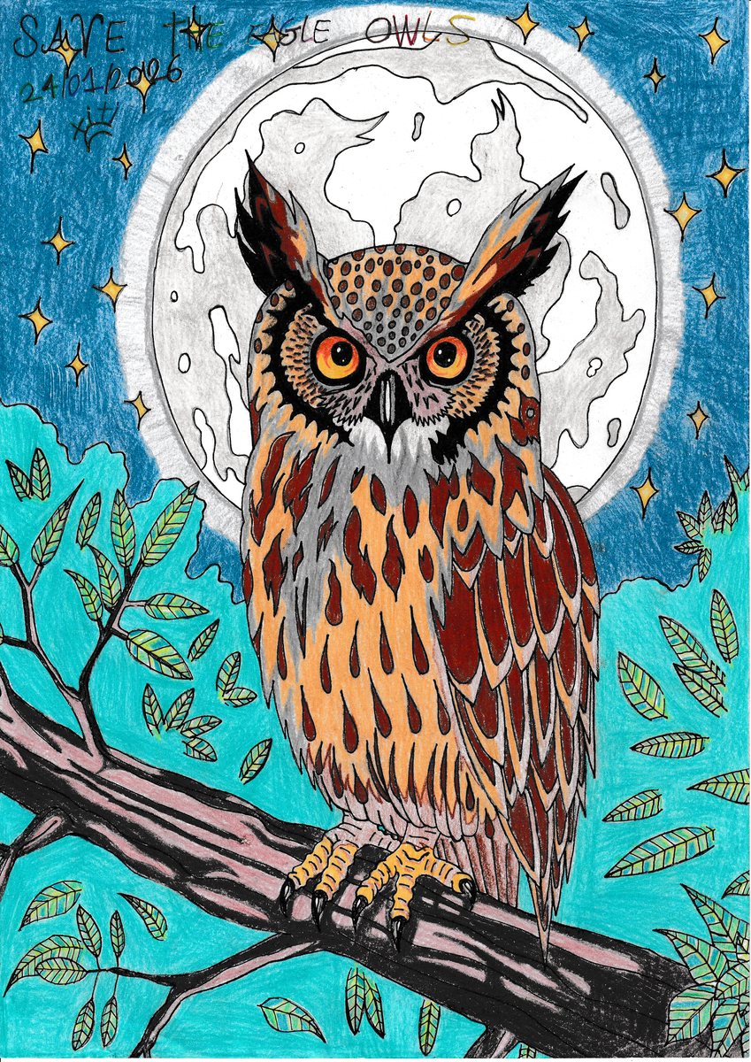 This is a pixiv picture whose title is ワシミミズクを救おう！🦉🌳♻️✊🏻🐾💝🌍🍀🫶🏻.