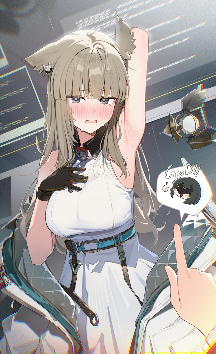 This is a pixiv picture whose title is Perlica🐱.