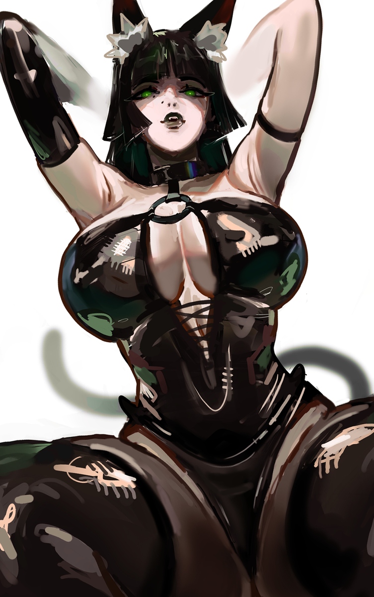 This is a pixiv picture whose title is XL cat.