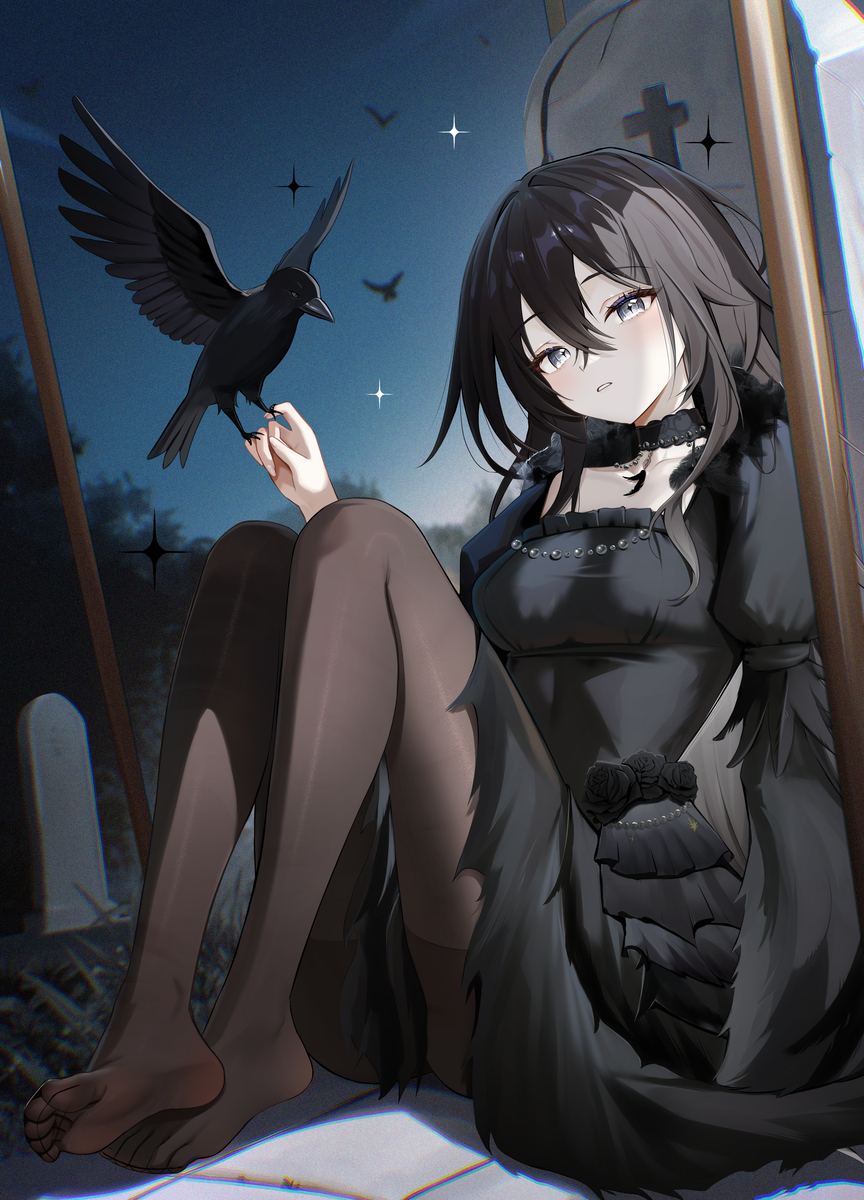 This is a pixiv picture whose title is カラスの少女.