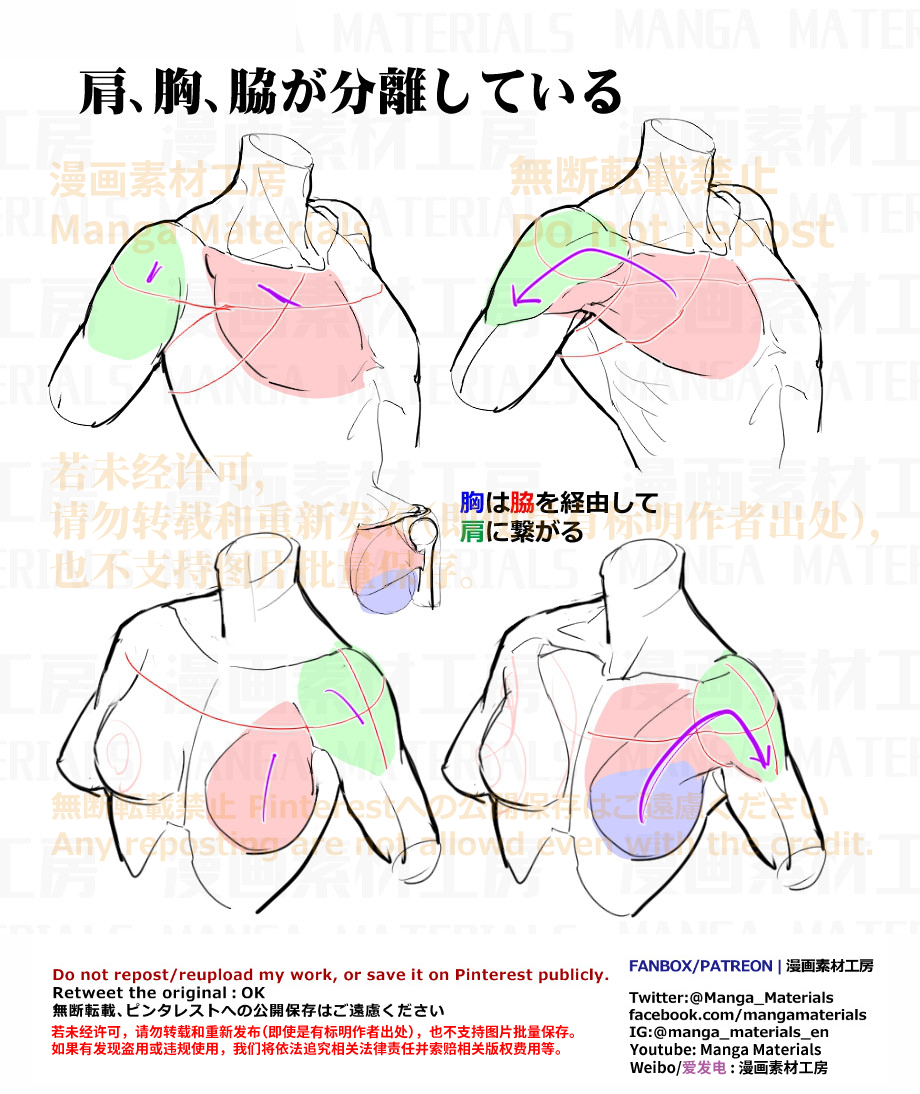 This is a pixiv picture whose title is 個人メモ：肩～胸～腋への繋がり.