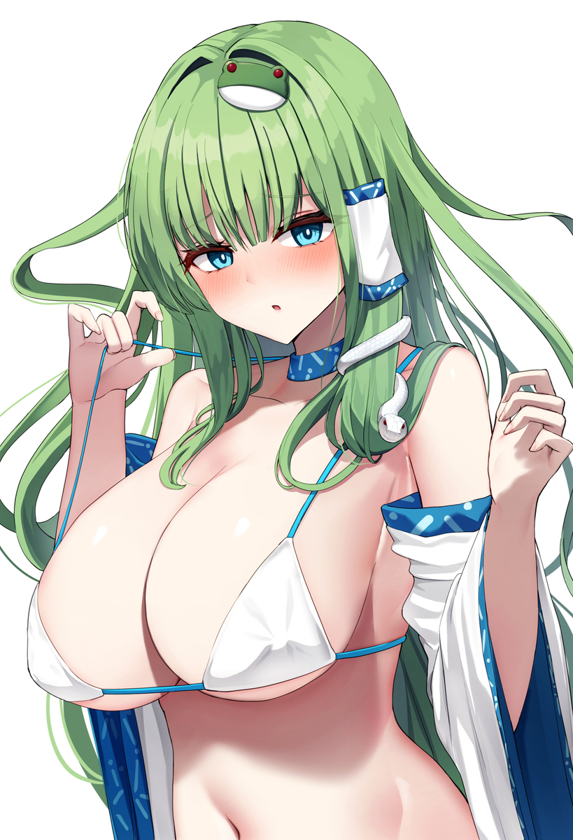 This is a pixiv picture whose title is 早苗さん.