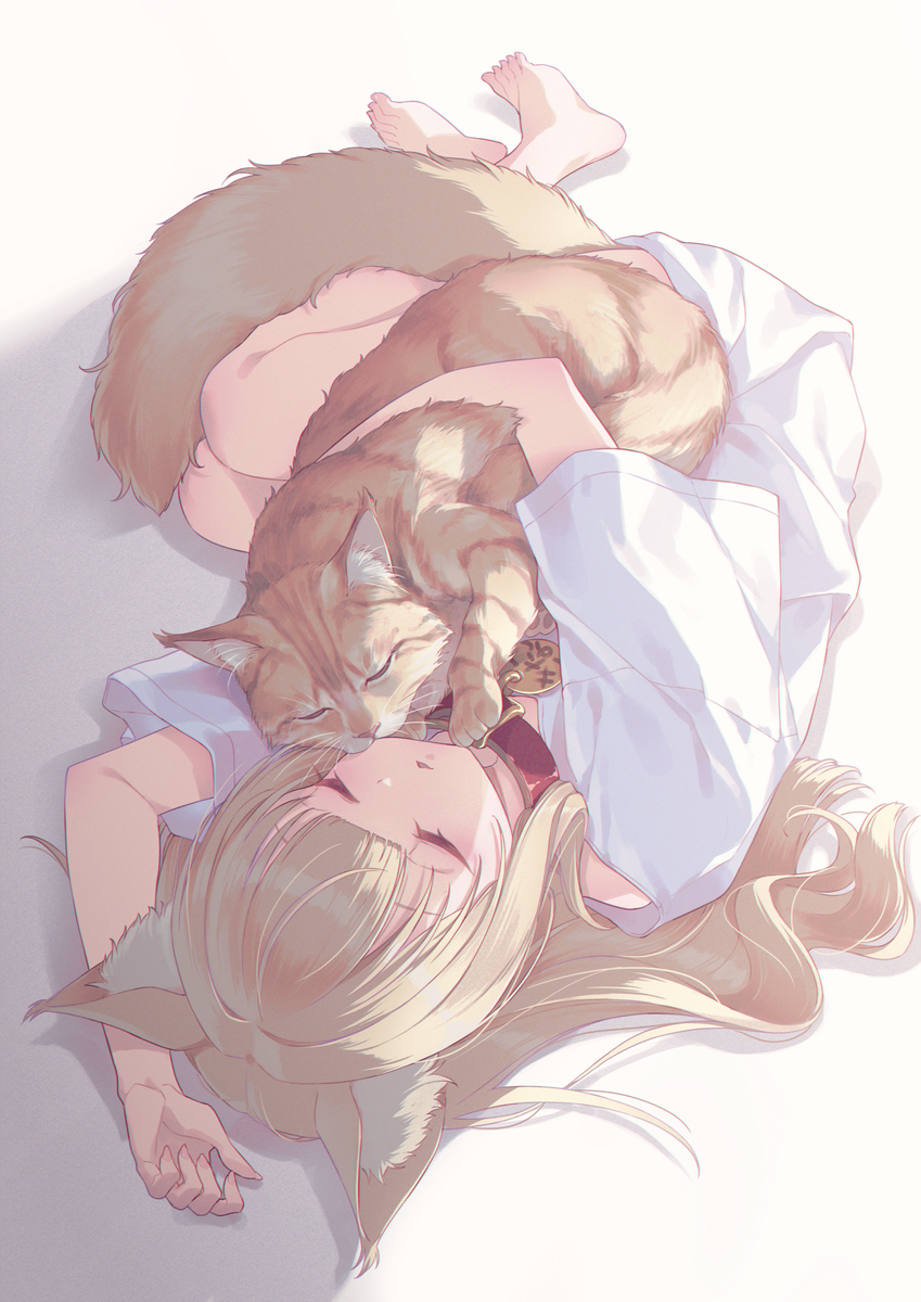 This is a pixiv picture whose title is きなこと一緒にお昼寝するきなこ🐈🐾.