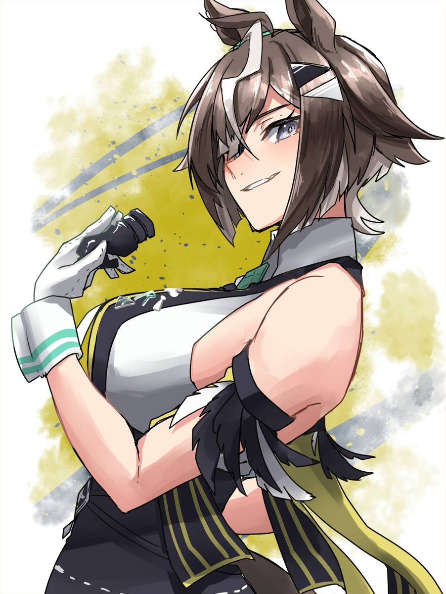 This is a pixiv picture whose title is ルーラーシップ.