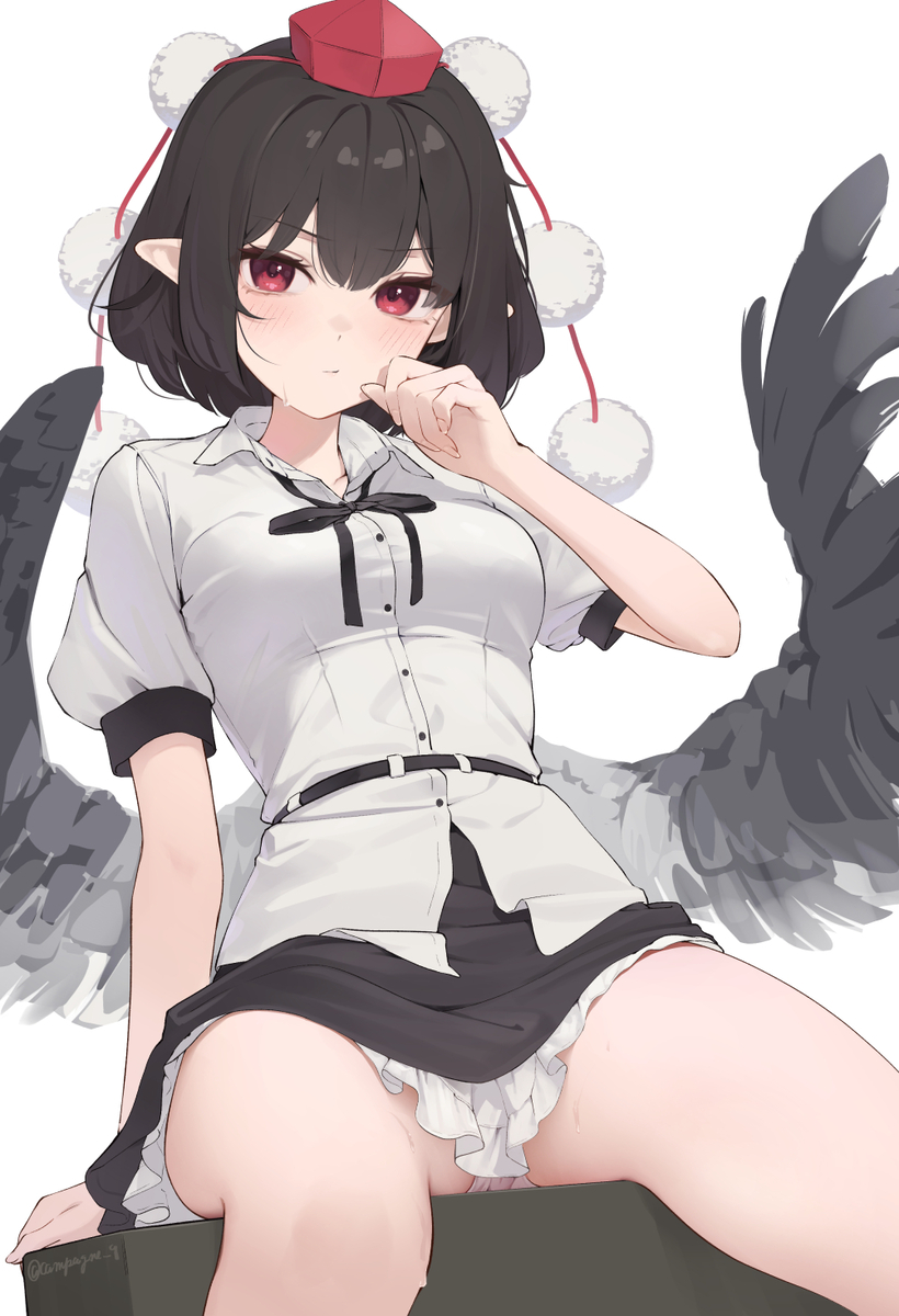 This is a pixiv picture whose title is 東方絵.