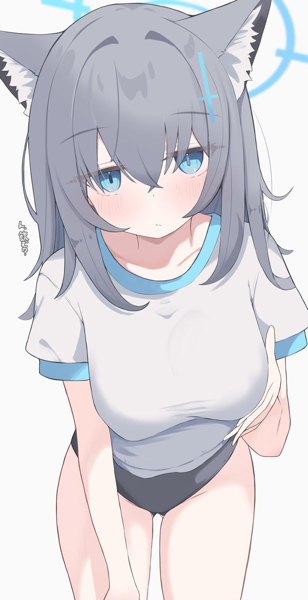 This is a pixiv picture whose title is シロコ.