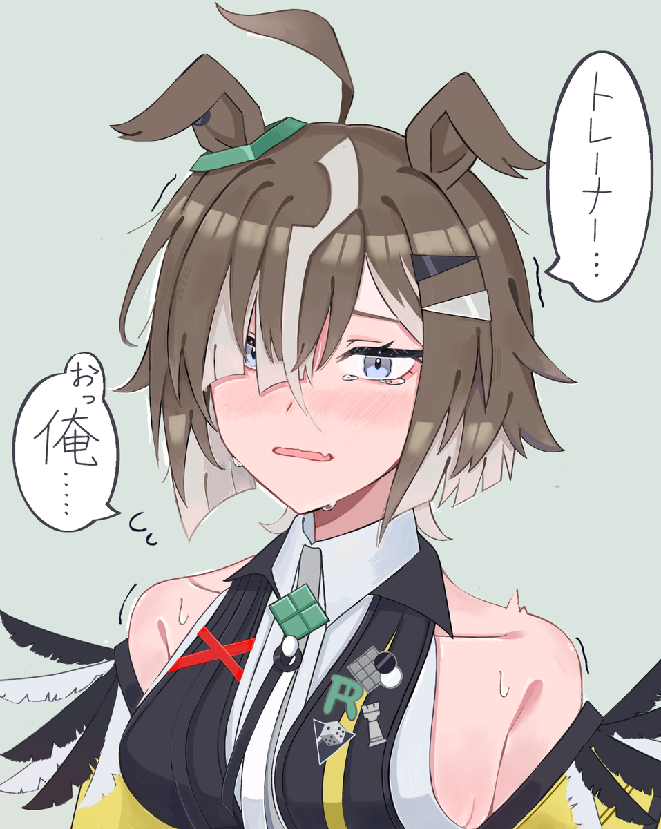 This is a pixiv picture whose title is ルーラーシップ.