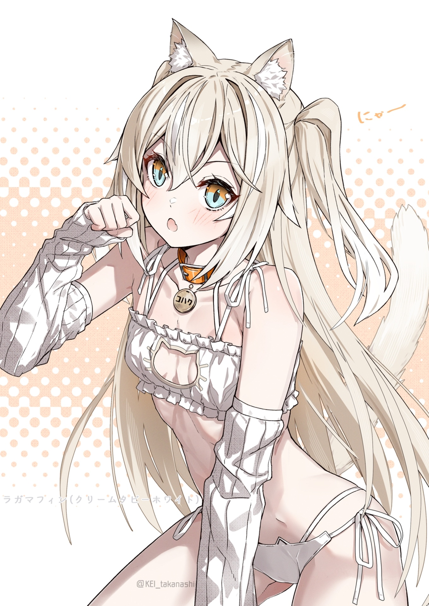 This is a pixiv picture whose title is 猫コハク.