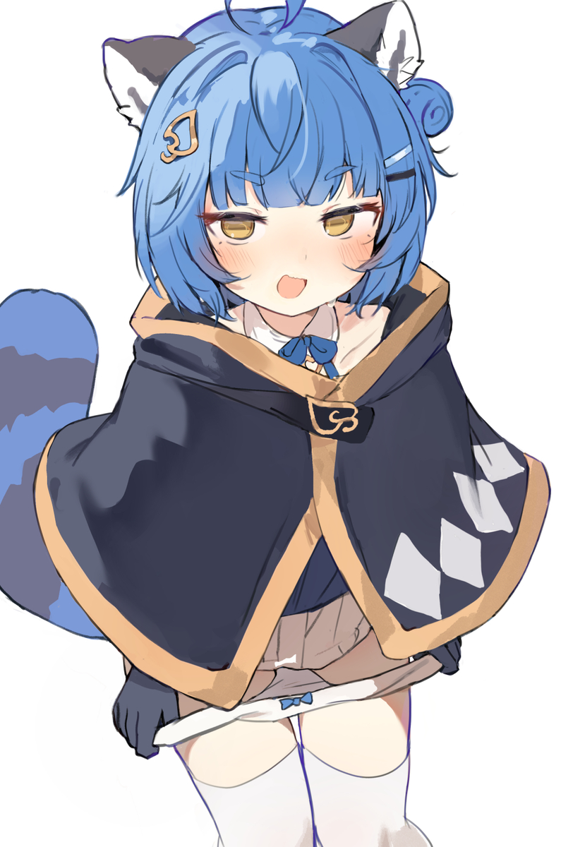 This is a pixiv picture whose title is Poko 🦝.
