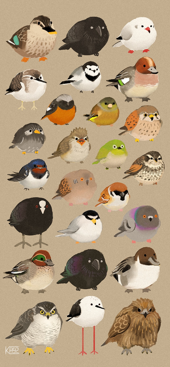 This is a pixiv picture whose title is 近所鳥.