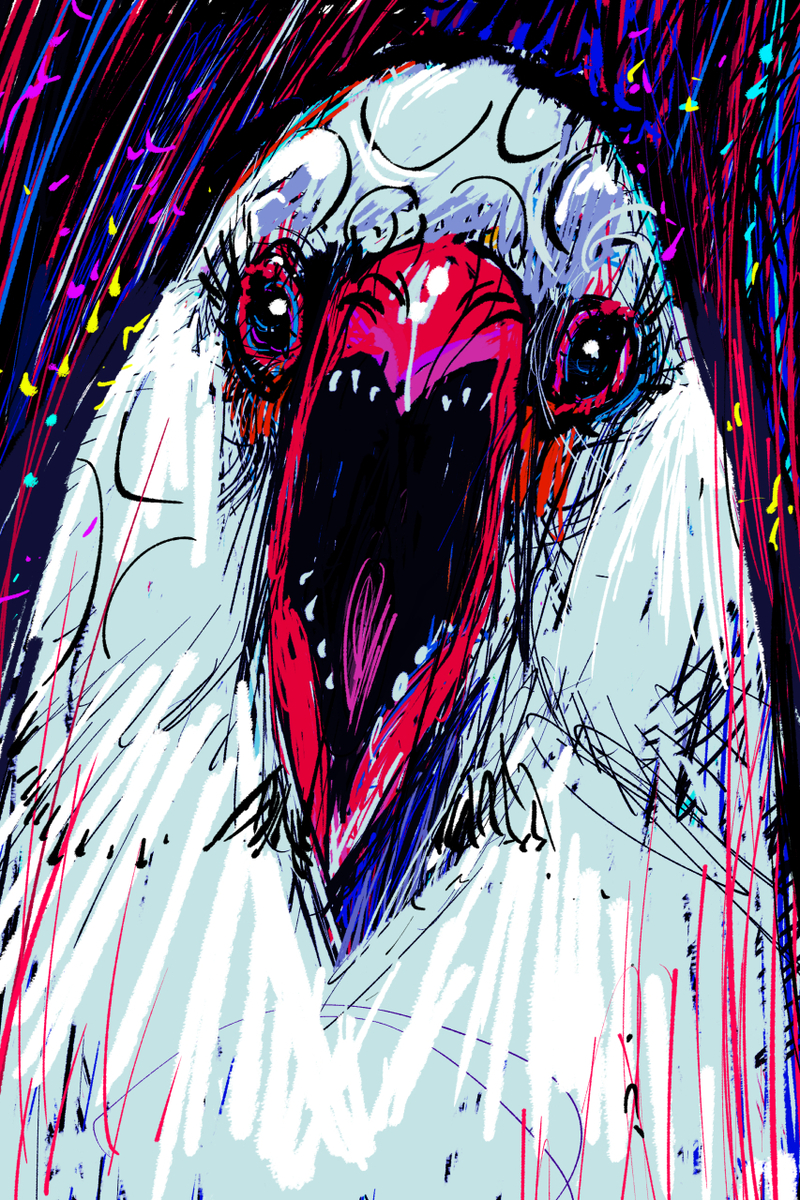 This is a pixiv picture whose title is キレる文鳥.