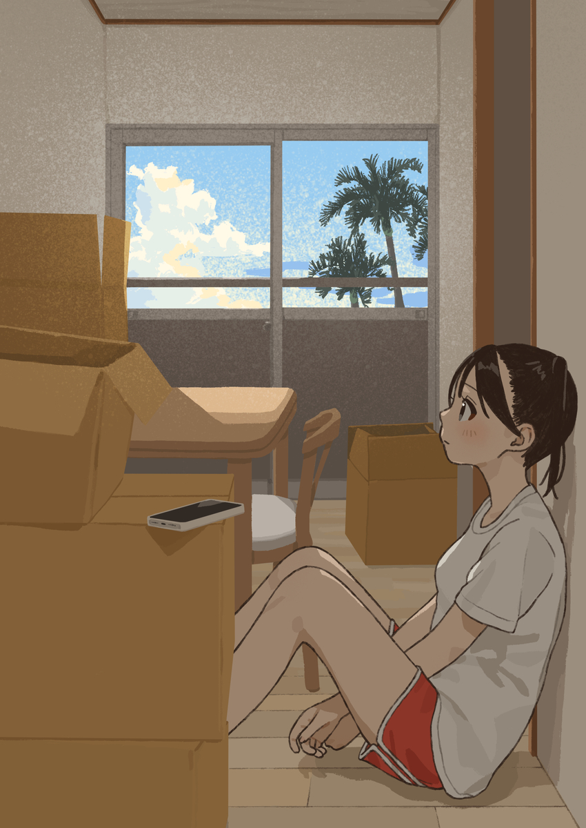 This is a pixiv picture whose title is 荷解き.