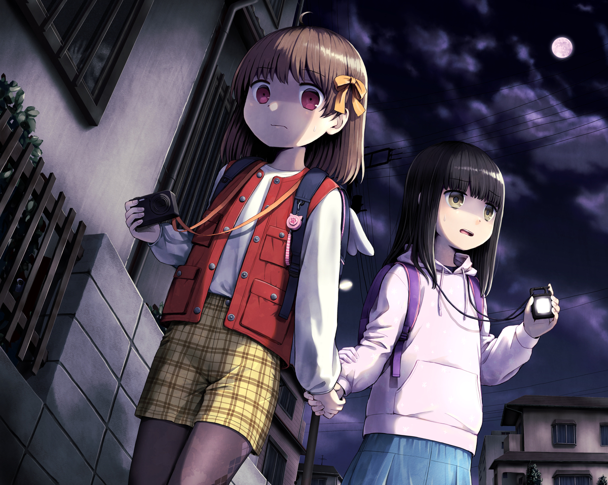 This is a pixiv picture whose title is 夜の街探検.