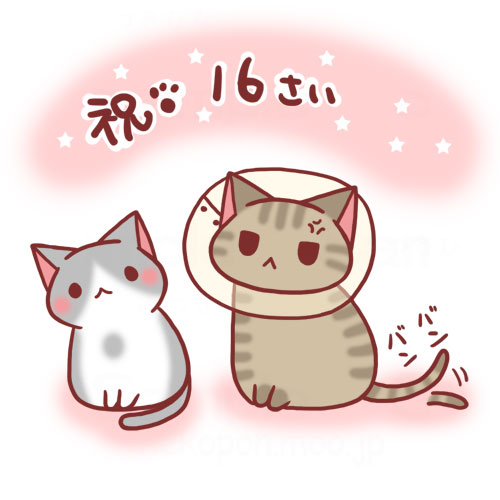 This is a pixiv picture whose title is 猫達バースデー.