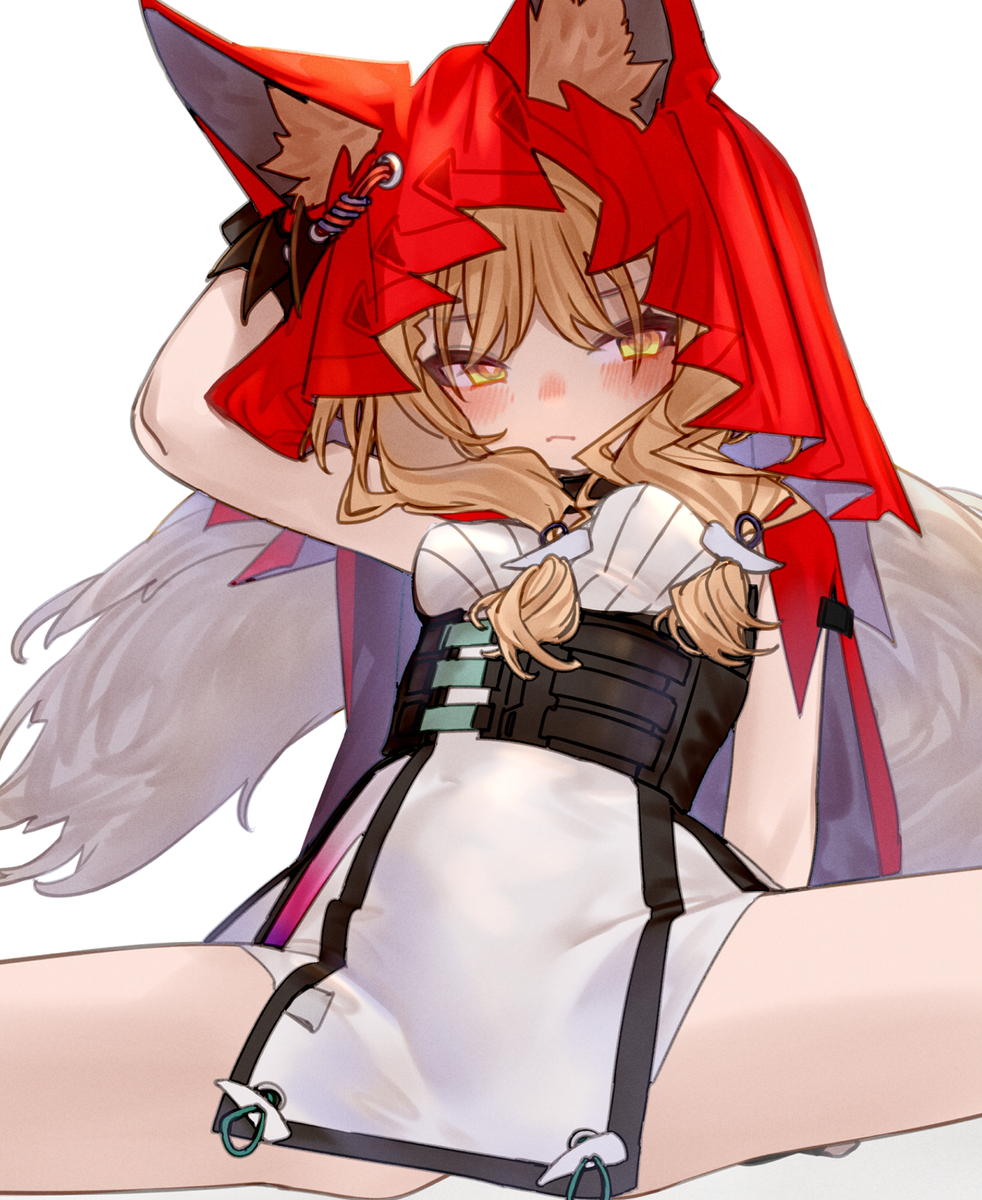 This is a pixiv picture whose title is 🐺.