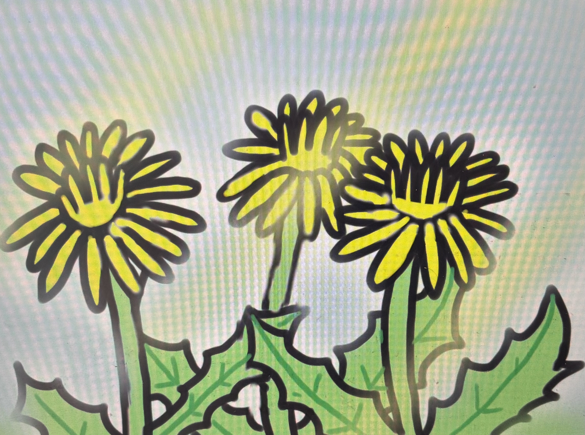 This is a pixiv picture whose title is たんぽぽ🌼.