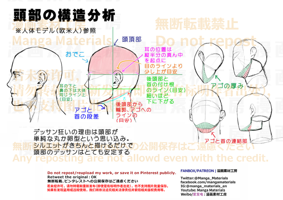 This is a pixiv picture whose title is 個人メモ：頭部の構造分析.