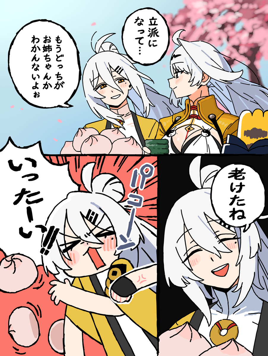 This is a pixiv picture whose title is 姉様.