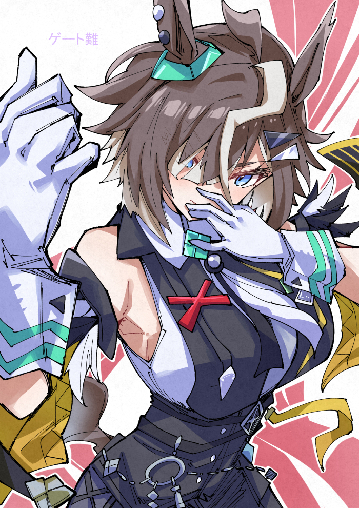This is a pixiv picture whose title is キメてルラシちゃん.
