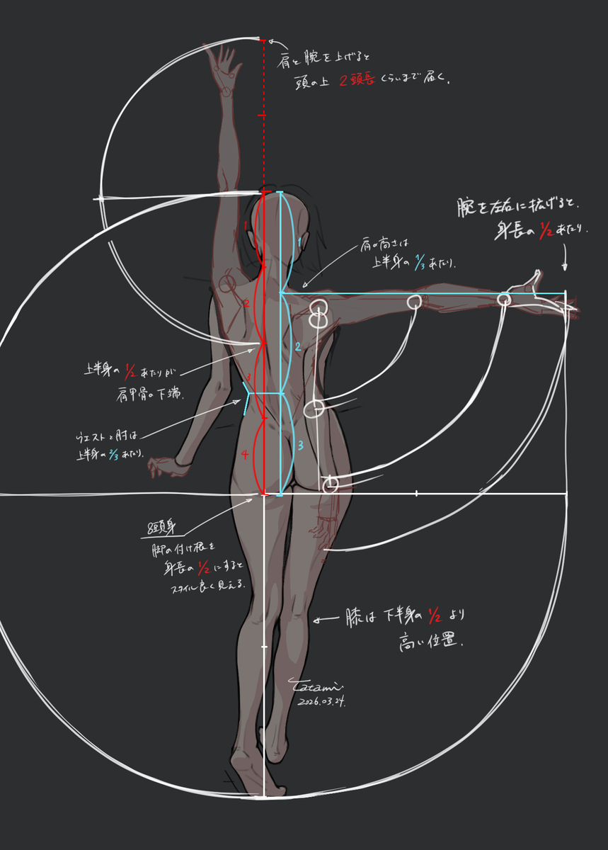This is a pixiv picture whose title is 女性の全身比率の例.