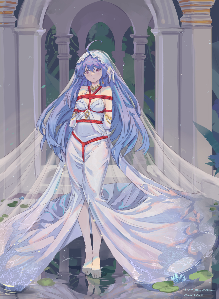 This is a pixiv picture whose title is 純白の奇跡.