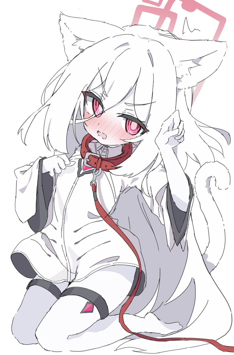 This is a pixiv picture whose title is 白ケイちゃん(猫).