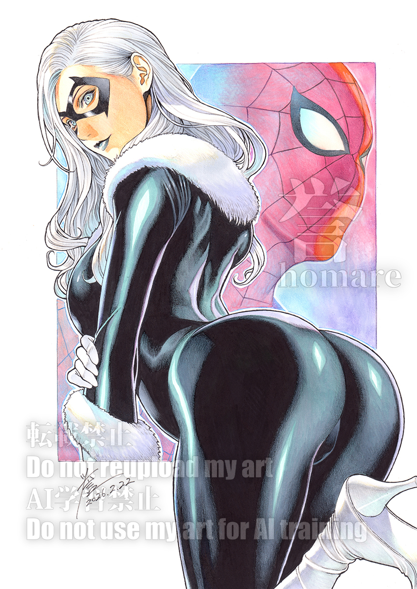 This is a pixiv picture whose title is Black Cat and Spider-Man.