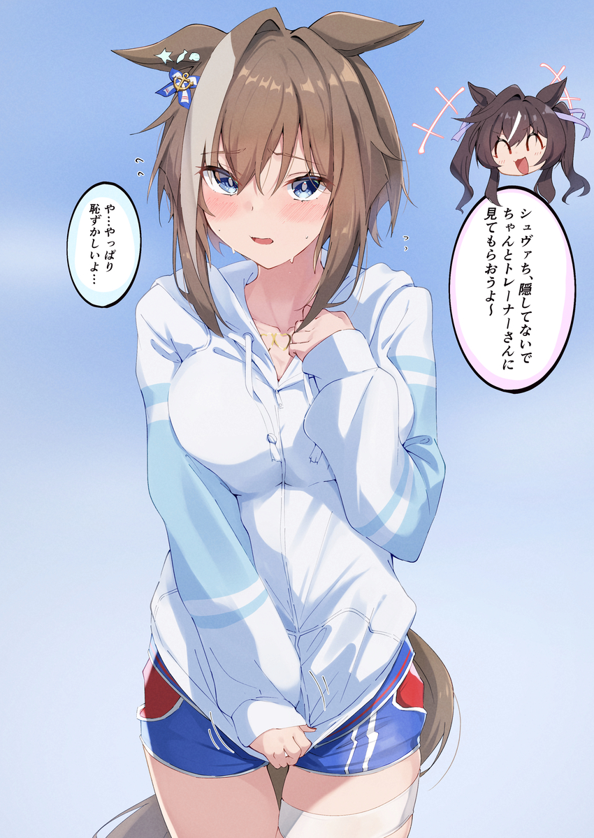 This is a pixiv picture whose title is 水着シュヴァルグラン.