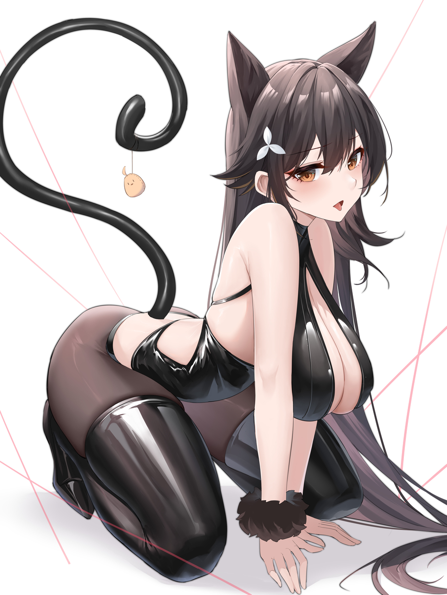 This is a pixiv picture whose title is 鸟海.