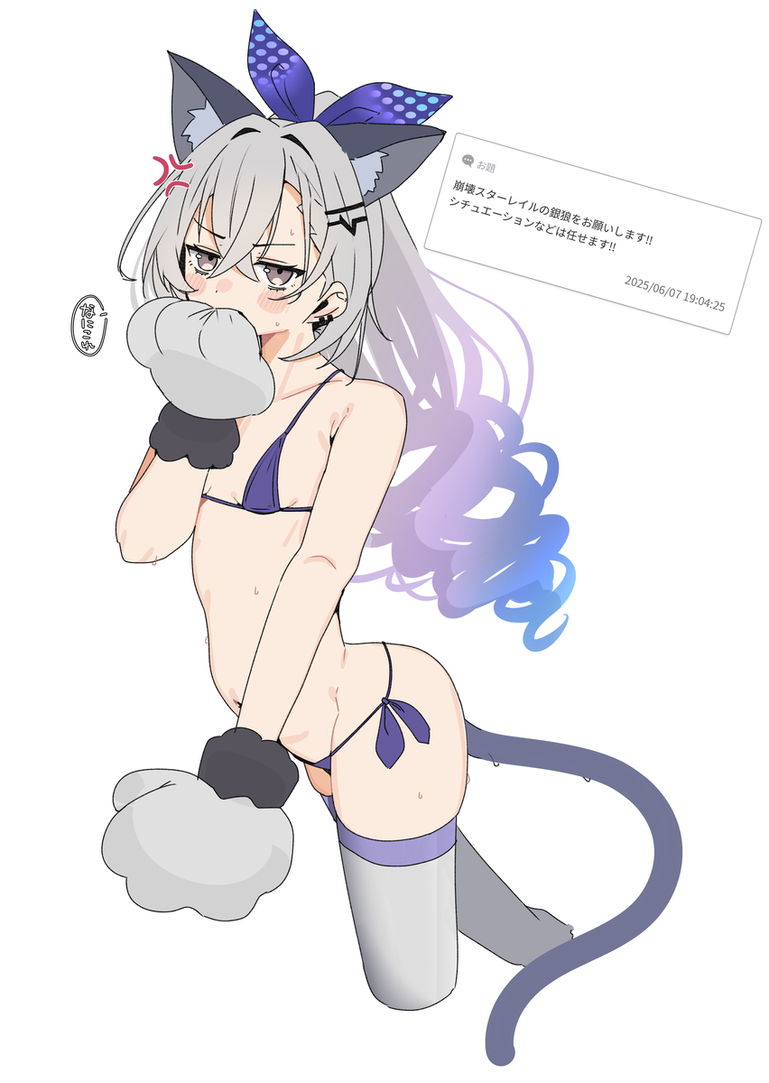This is a pixiv picture whose title is 銀狼.