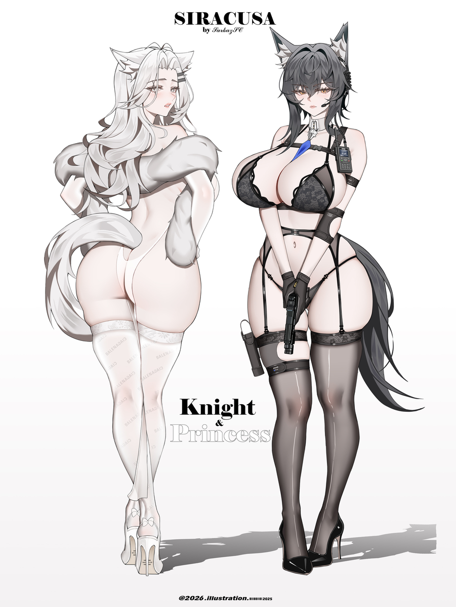 This is a pixiv picture whose title is 公主与骑士.