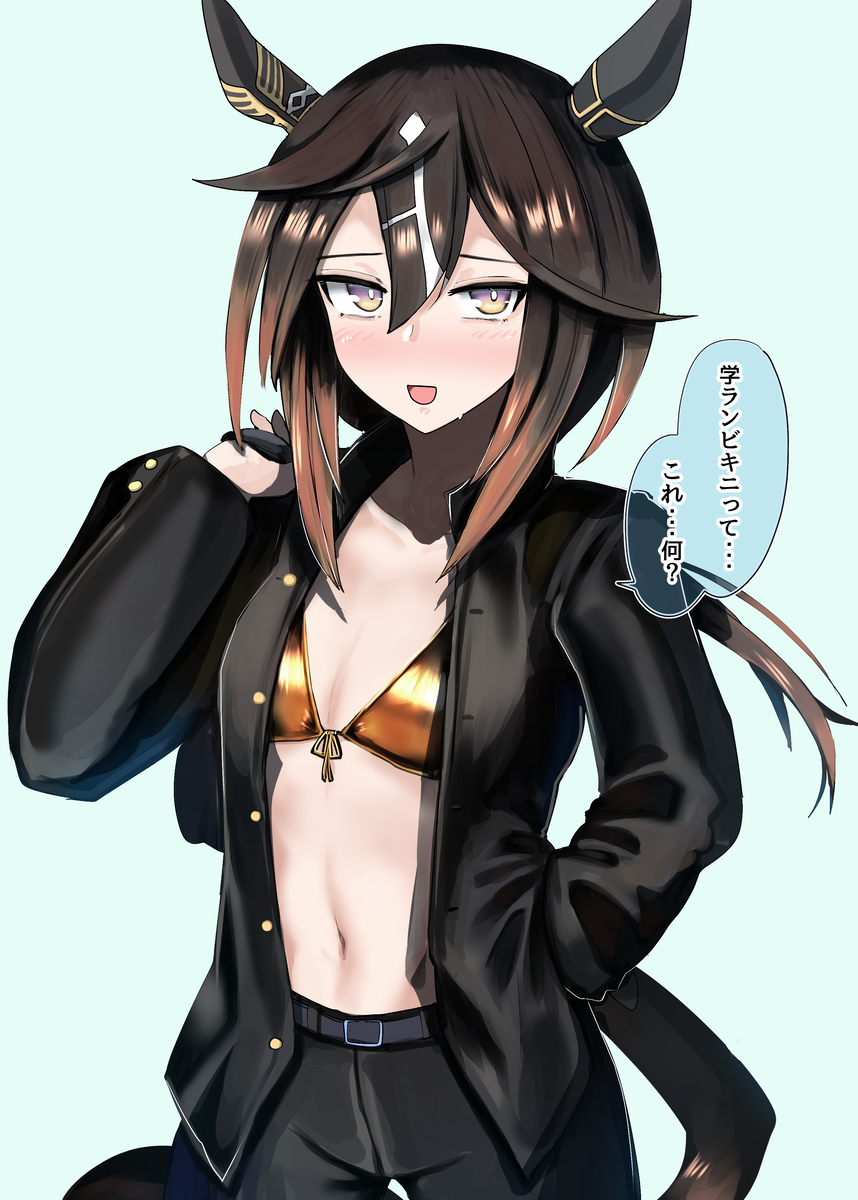 This is a pixiv picture whose title is 学ランビキニ…って何？.
