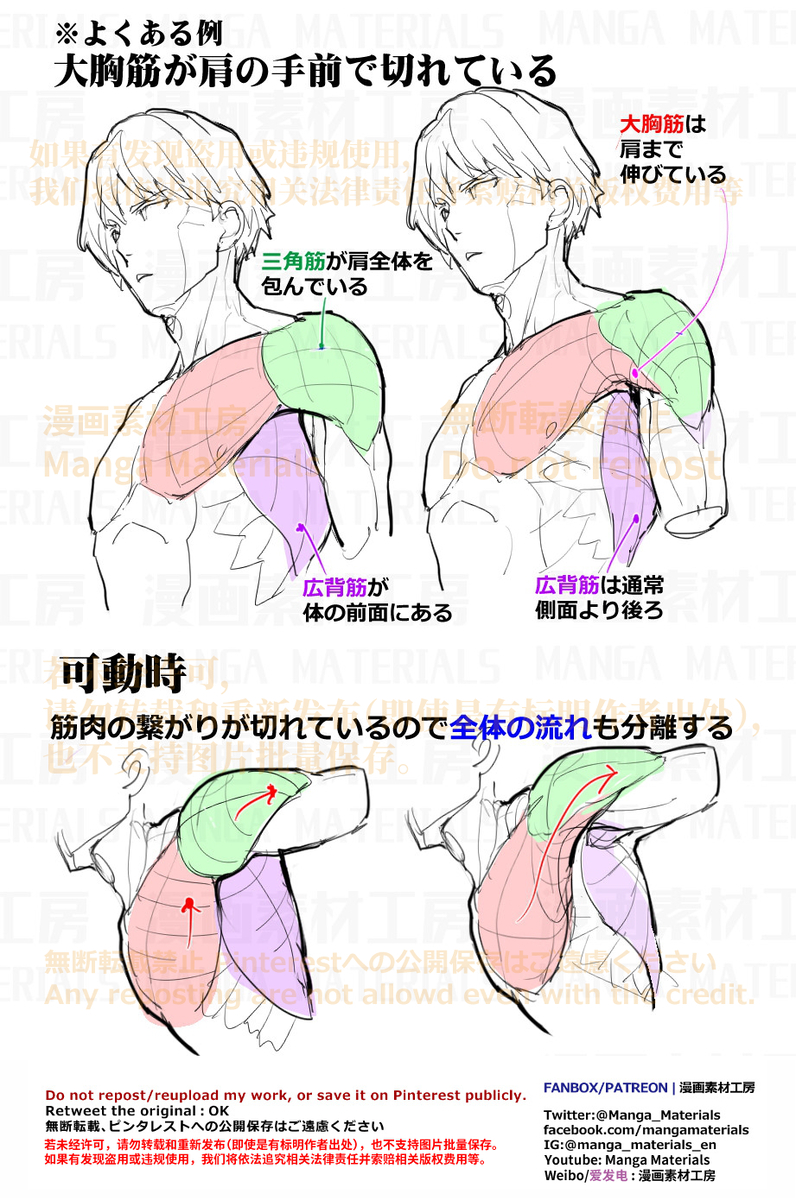 This is a pixiv picture whose title is 個人メモ：胸肩周りの筋肉の繋がり.