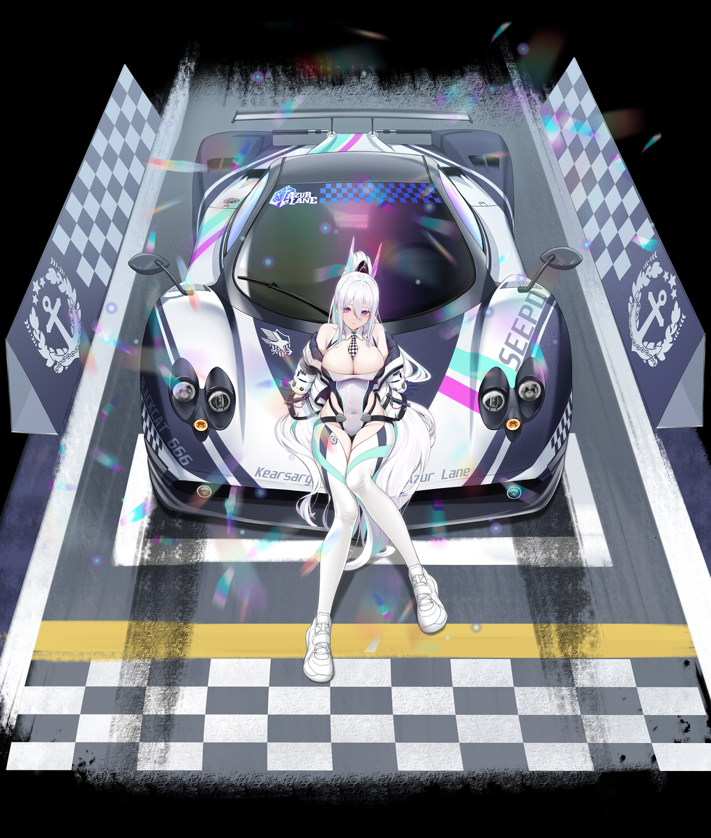 This is a pixiv picture whose title is 奇尔沙治 赛道.