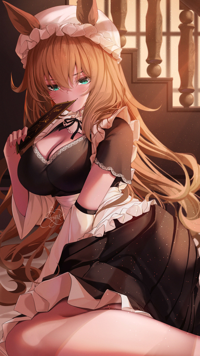 This is a pixiv picture whose title is Maruzensky.