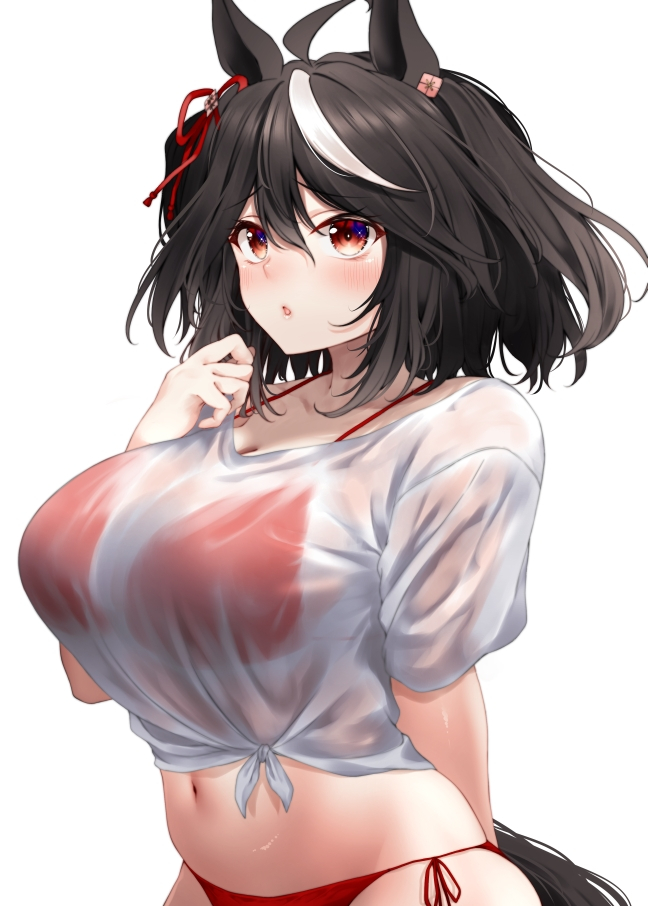 This is a pixiv picture whose title is キタちゃん水着.