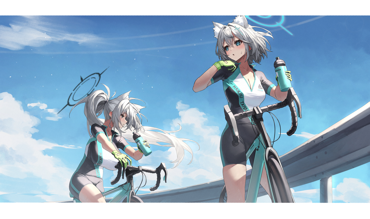 This is a pixiv picture whose title is シロコ誕生日おめでとう！！.