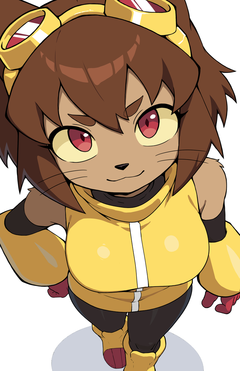 This is a pixiv picture whose title is Ready for the Level Up.