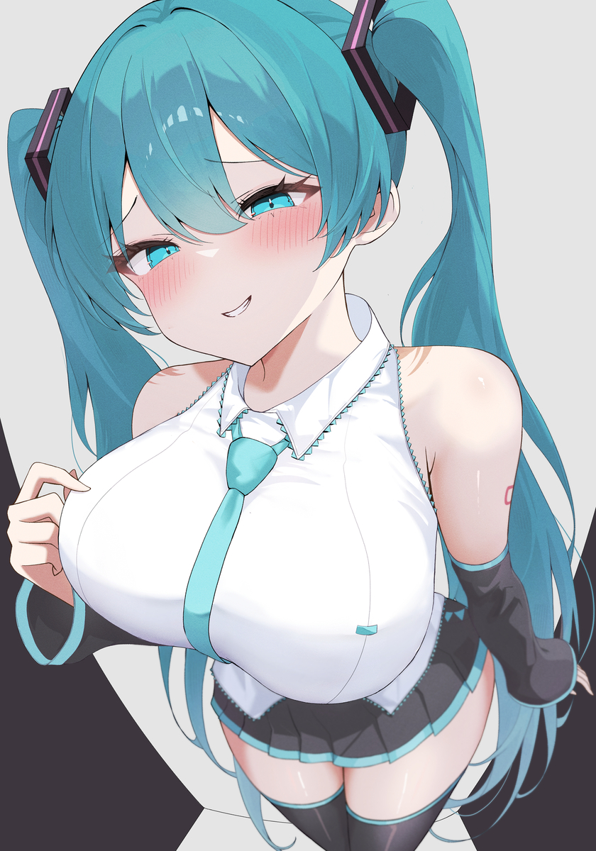 This is a pixiv picture whose title is 魚眼レンズを利用してサイズを盛る初音ミクさん.