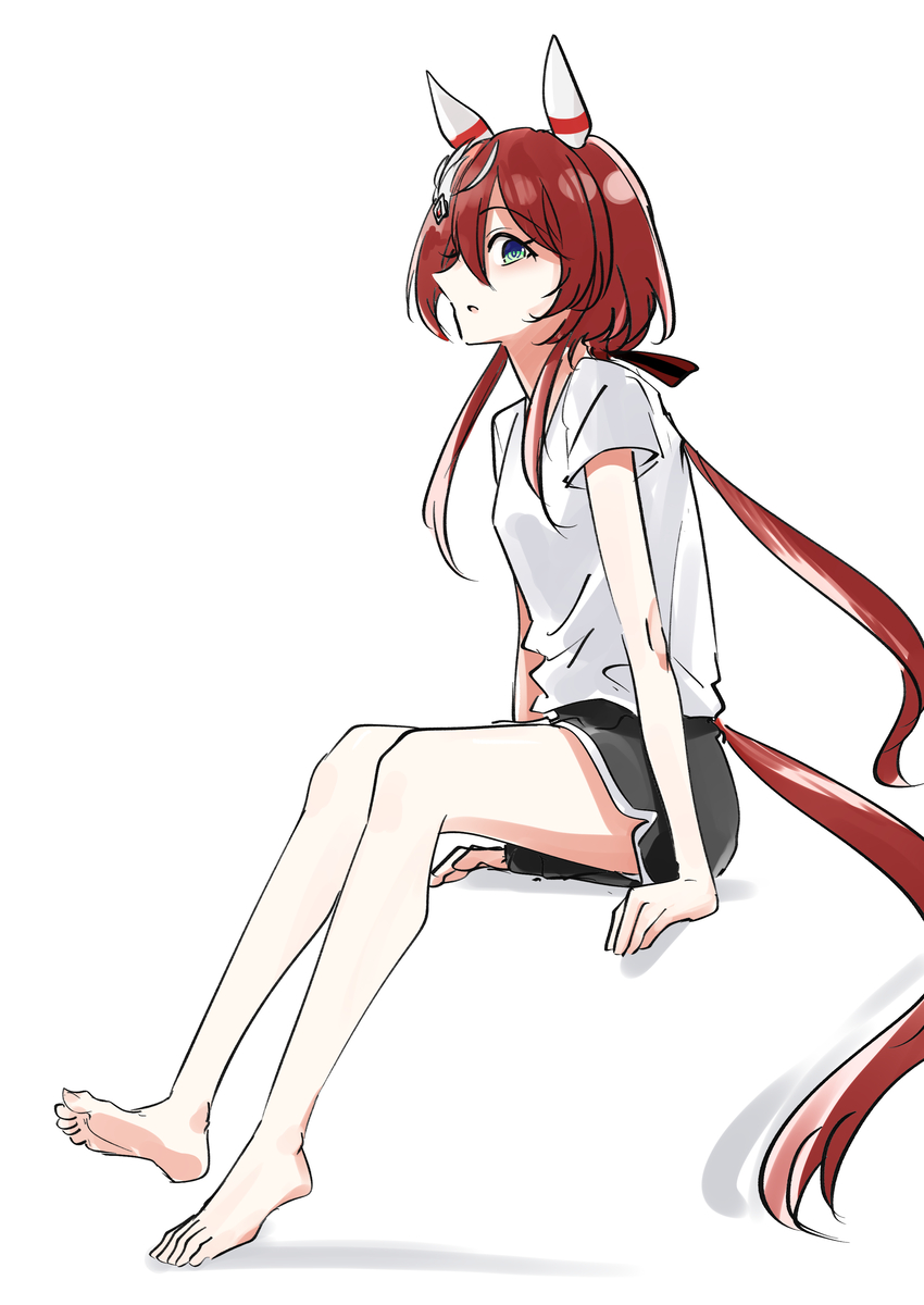 This is a pixiv picture whose title is すあしおん.