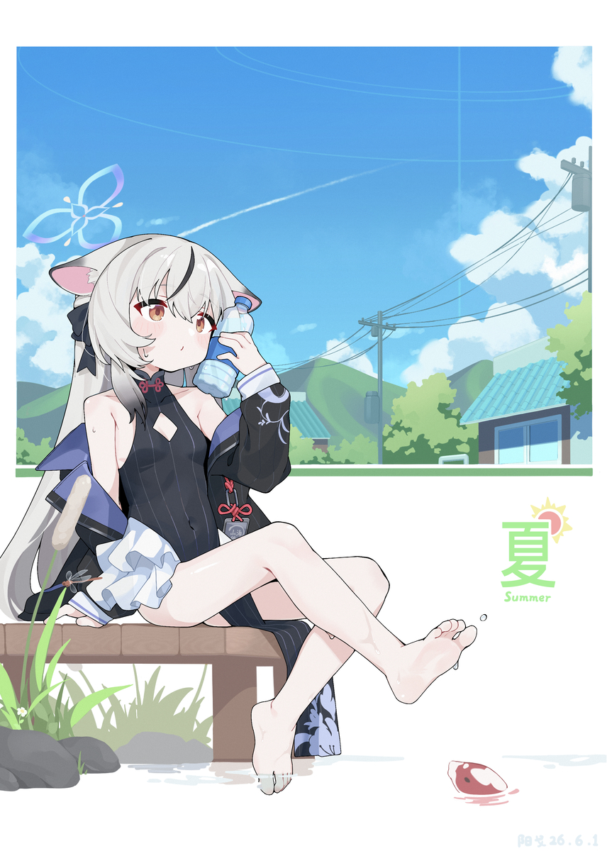 This is a pixiv picture whose title is Summer.