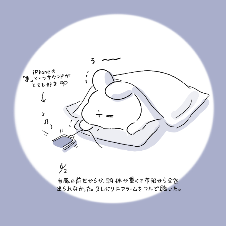 This is a pixiv picture whose title is 今日の日記.