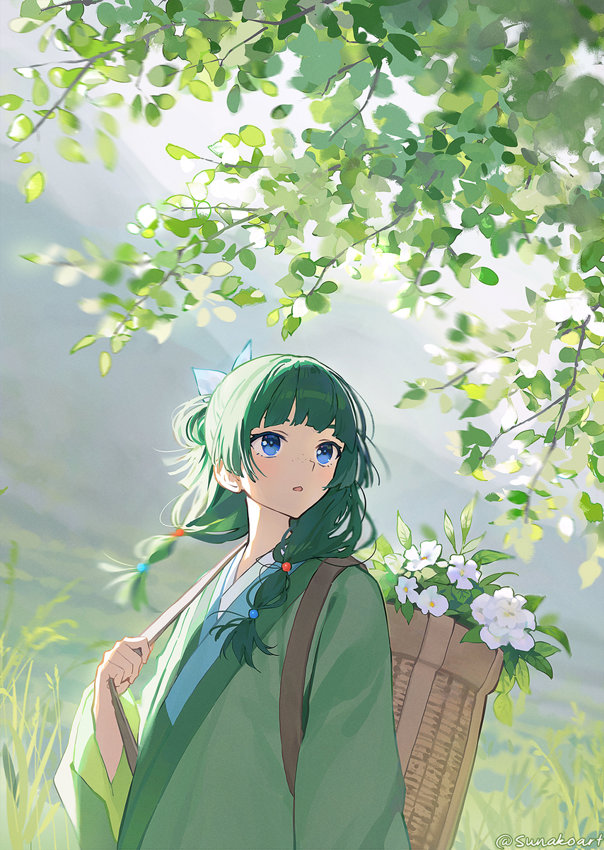This is a pixiv picture whose title is Maomao.